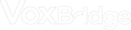 VoxBridge